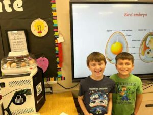 students showing bird embryo process